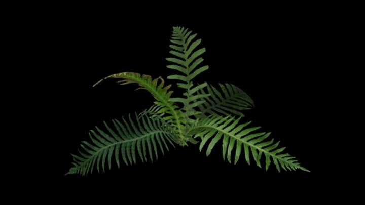 UE项目资源_模型资源_植物1803