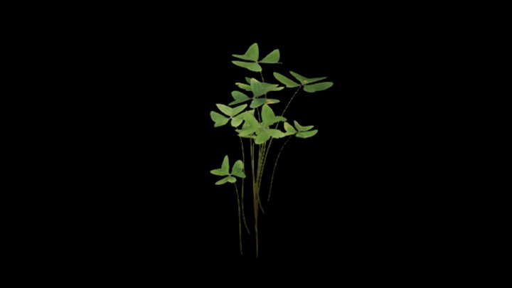 UE项目资源_模型资源_植物1814