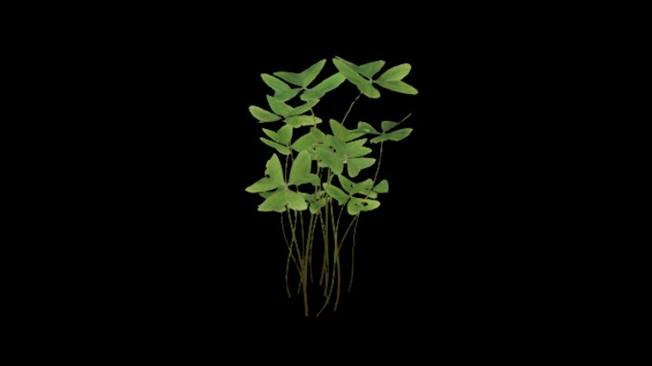 UE项目资源_模型资源_植物1815