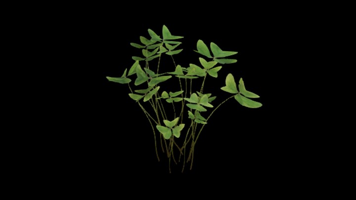 UE项目资源_模型资源_植物1816