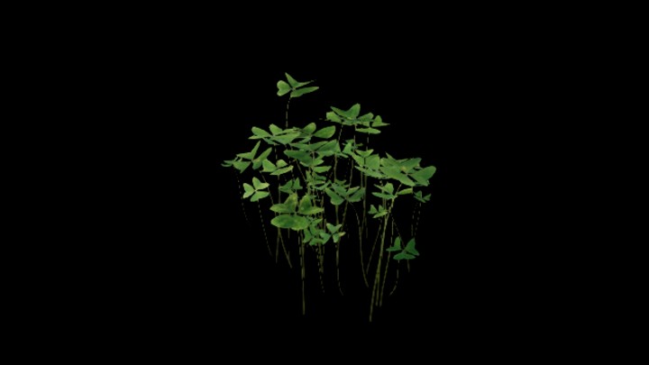 UE项目资源_模型资源_植物1817