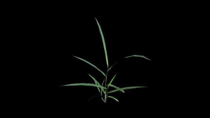 UE项目资源_模型资源_植物1820