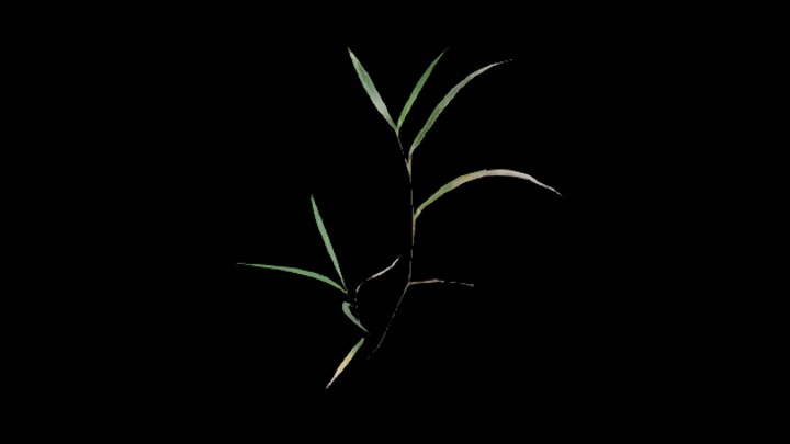 UE项目资源_模型资源_植物1825