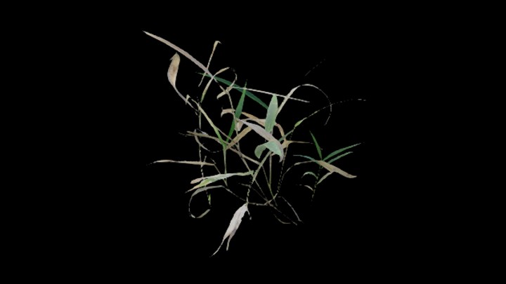 UE项目资源_模型资源_植物1830