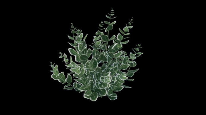 UE项目资源_模型资源_植物1844