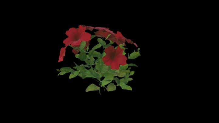 UE项目资源_模型资源_植物1851