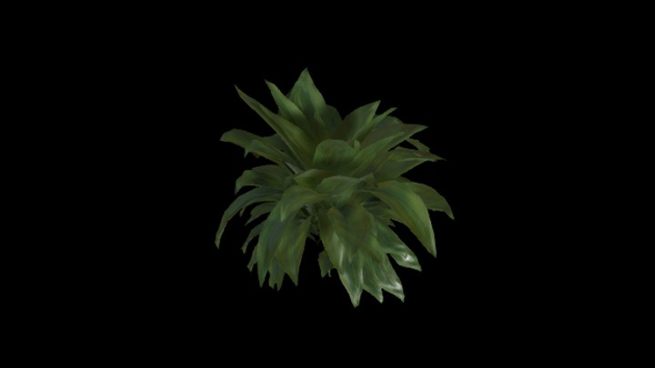 UE项目资源_模型资源_植物1881