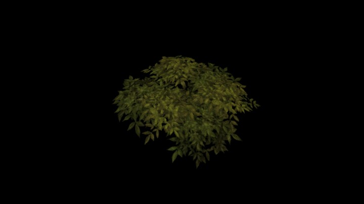 UE项目资源_模型资源_植物1891