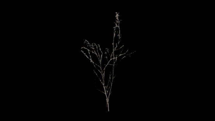 UE项目资源_模型资源_植物1902