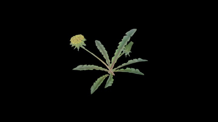 UE项目资源_模型资源_植物丛003