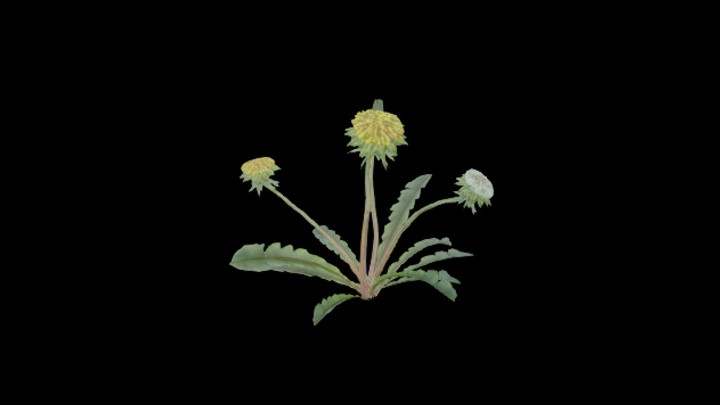 UE项目资源_模型资源_植物丛005