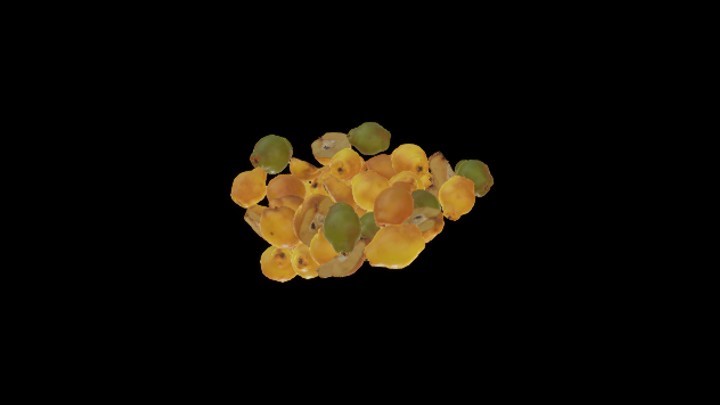 UE项目资源_模型资源_水果101