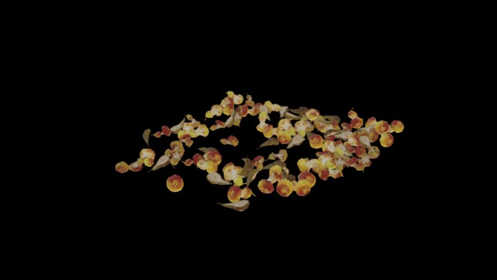 UE项目资源_模型资源_水果108