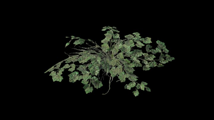 UE项目资源_模型资源_水生植物001