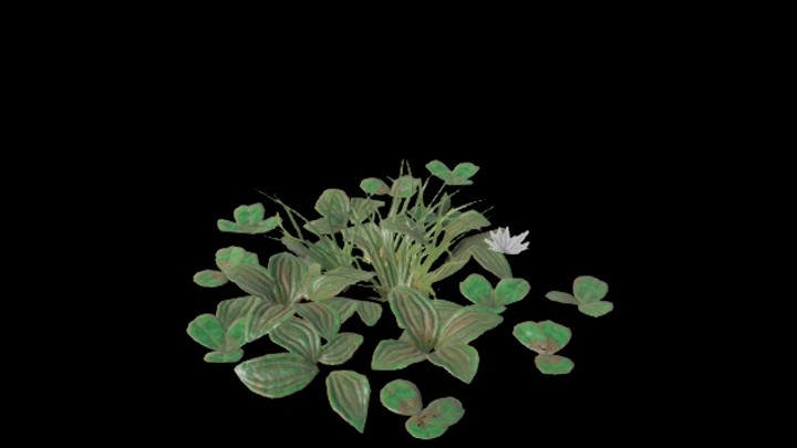 UE项目资源_模型资源_水生植物002