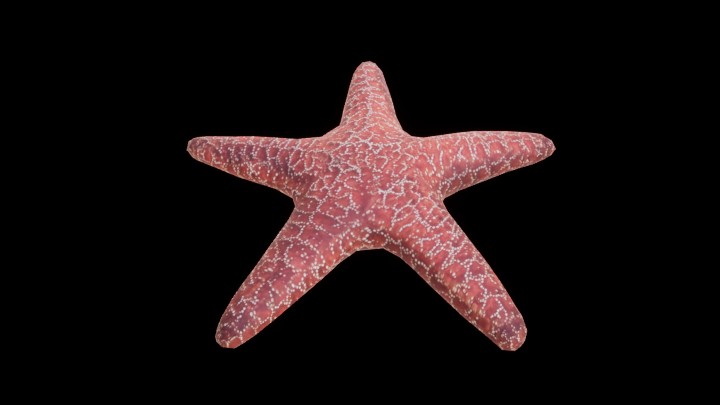 UE项目资源_模型资源_海星012