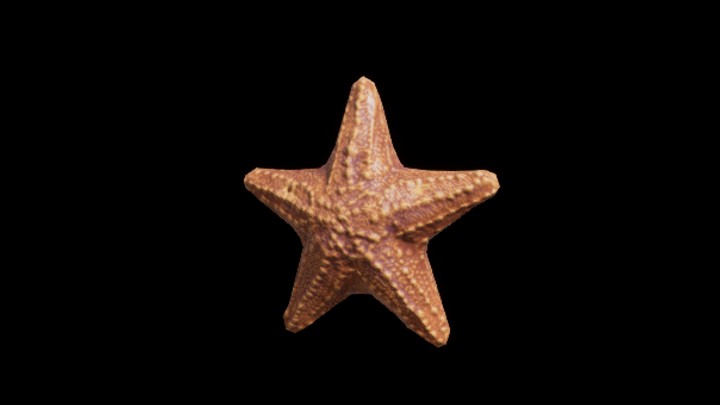 UE项目资源_模型资源_海星013