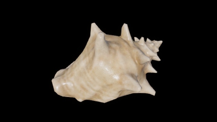 UE项目资源_模型资源_海螺013