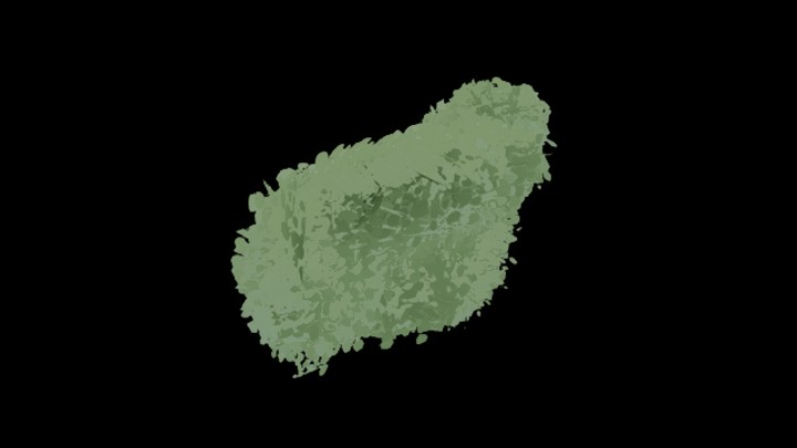 UE项目资源_模型资源_灌丛004