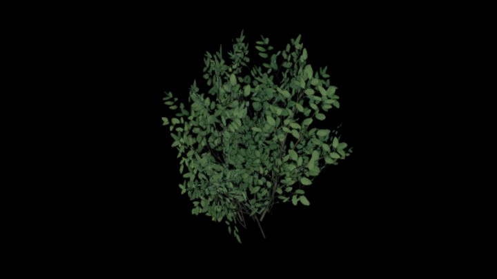 UE项目资源_模型资源_灌木114