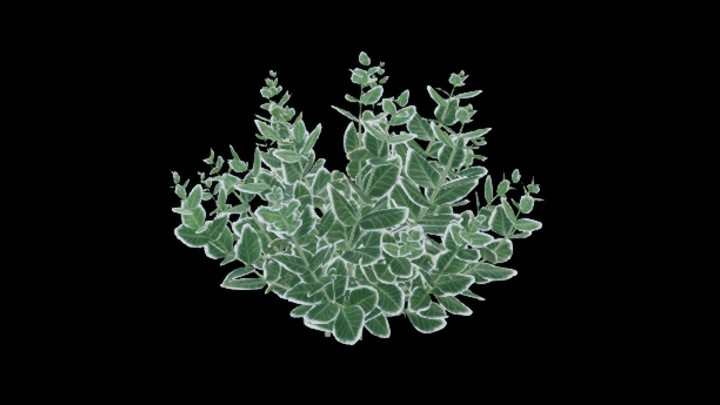 UE项目资源_模型资源_灌木118