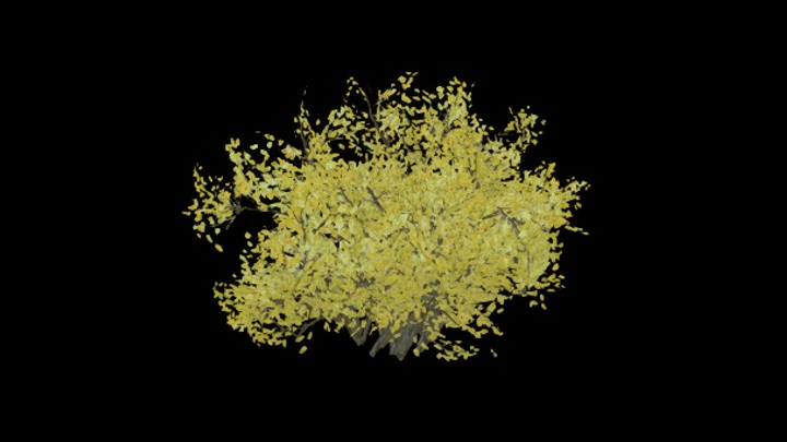 UE项目资源_模型资源_灌木128