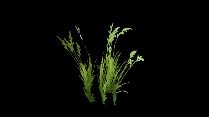 UE项目资源_模型资源_灌木129