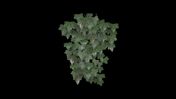 UE项目资源_模型资源_爬山虎034