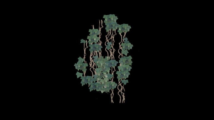 UE项目资源_模型资源_爬山虎035