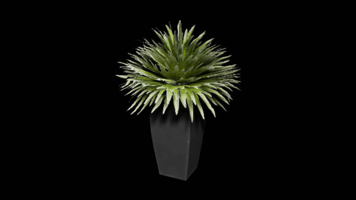 UE项目资源_模型资源_盆栽247