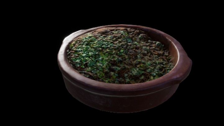 UE项目资源_模型资源_盆栽261