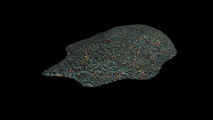 UE项目资源_模型资源_种子010