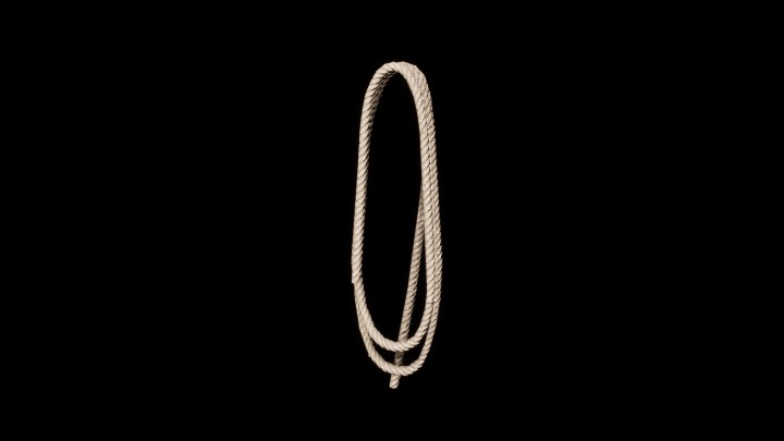 UE项目资源_模型资源_绳子104