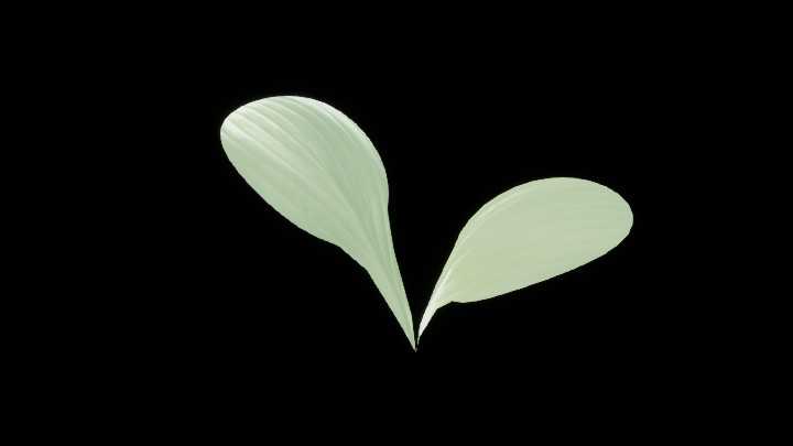 UE项目资源_模型资源_绿叶001