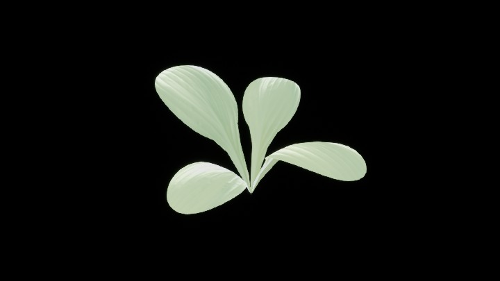 UE项目资源_模型资源_绿叶002