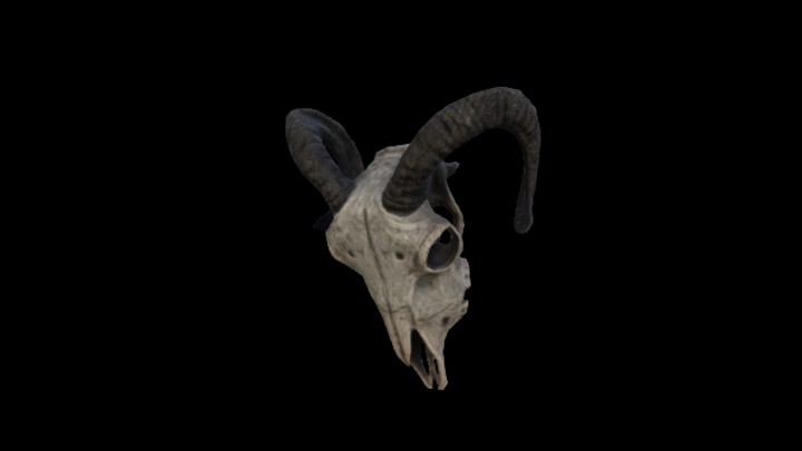 UE项目资源_模型资源_羊头003