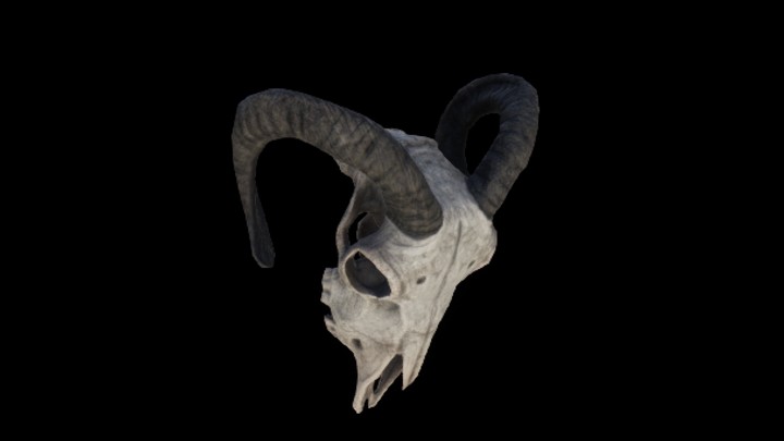 UE项目资源_模型资源_羊头004