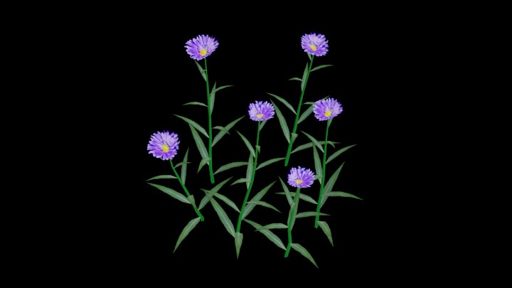 UE项目资源_模型资源_花853