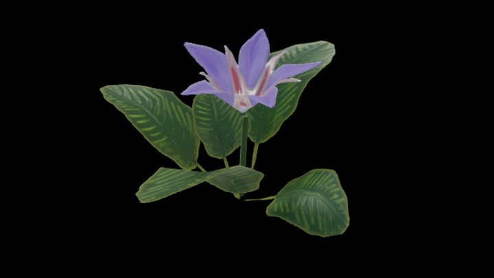 UE项目资源_模型资源_花863