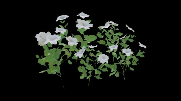 UE项目资源_模型资源_花872