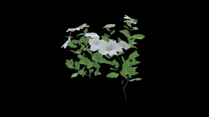 UE项目资源_模型资源_花873