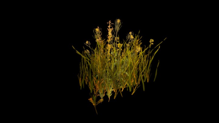 UE项目资源_模型资源_花883