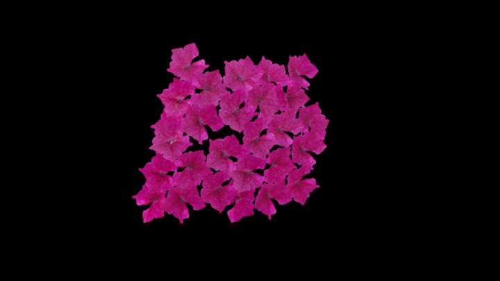 UE项目资源_模型资源_花897