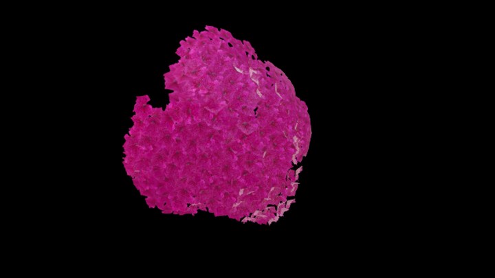 UE项目资源_模型资源_花899