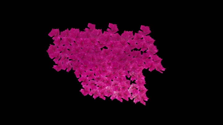 UE项目资源_模型资源_花900