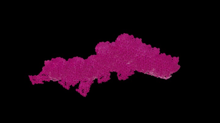 UE项目资源_模型资源_花901