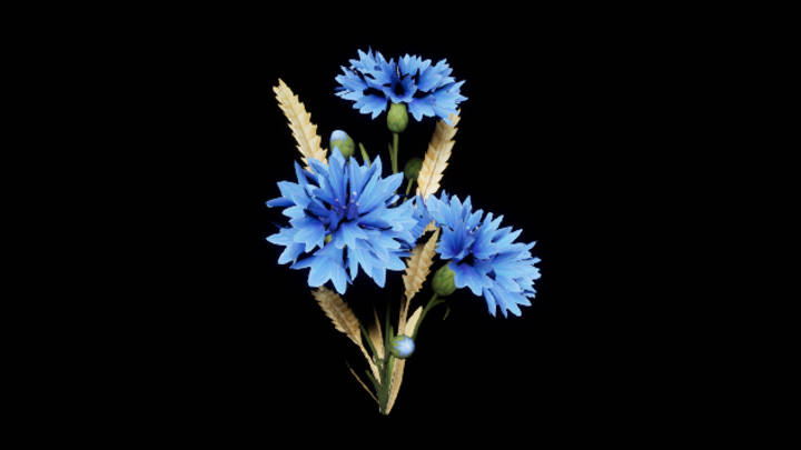 UE项目资源_模型资源_花905