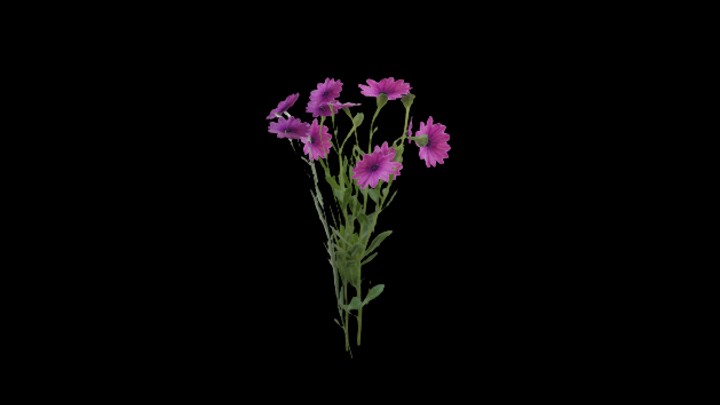 UE项目资源_模型资源_花923