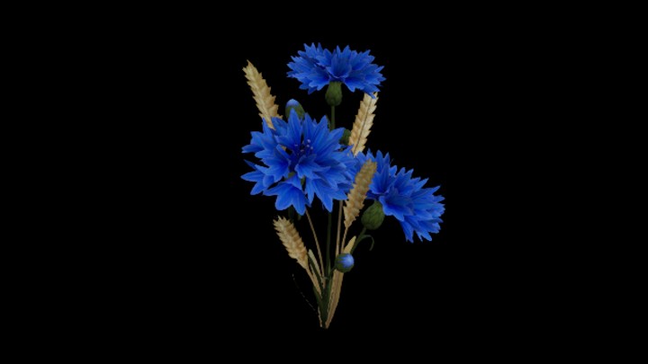 UE项目资源_模型资源_花930