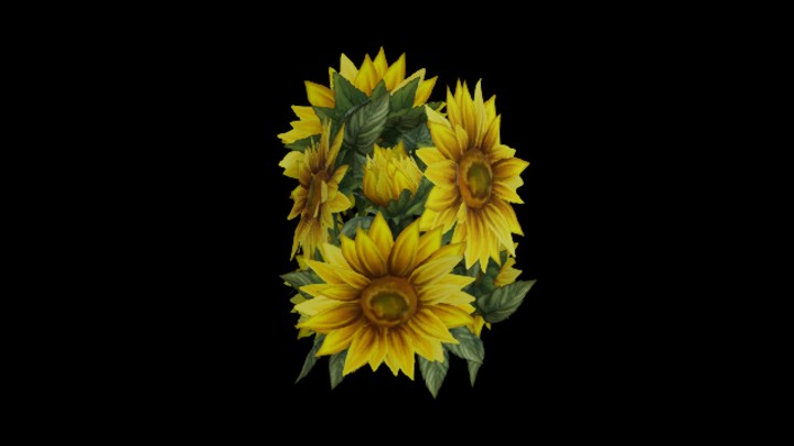 UE项目资源_模型资源_花948